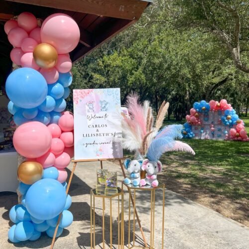 genderrevealmiami-20240801-0191