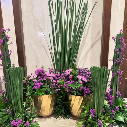 thepetalartisanindia-20241129-0005