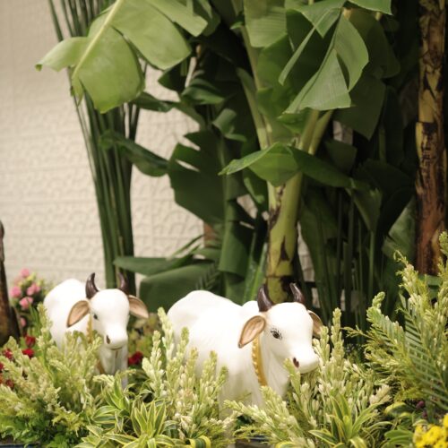 dreamy_event_16-20250918-0008