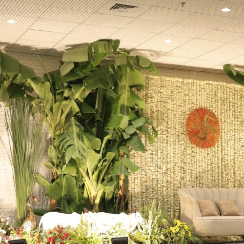 dreamy_event_16-20250918-0010