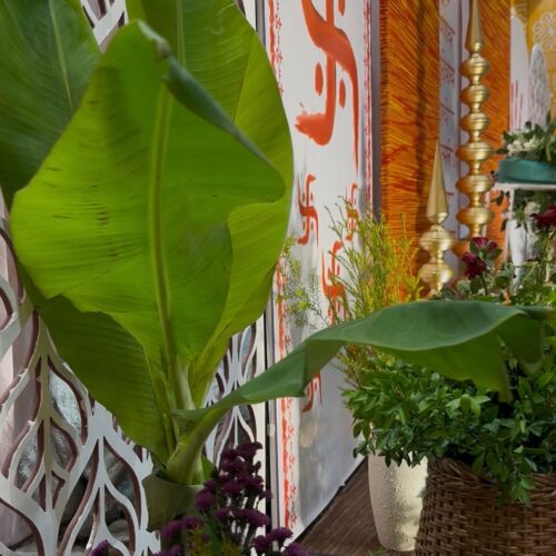 dreamy_event_16-20250918-0013