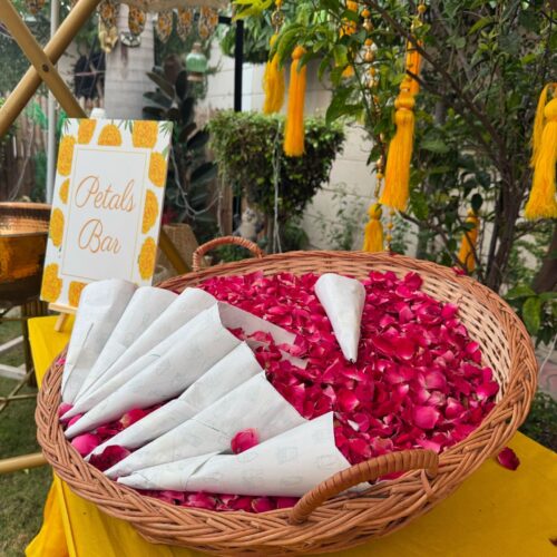 shineevents_05-20241119-0004