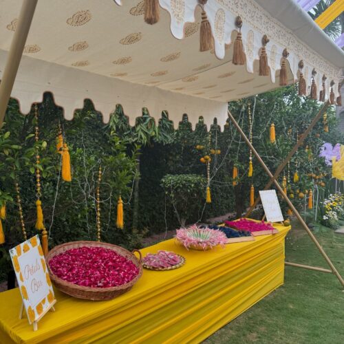 shineevents_05-20241119-0006