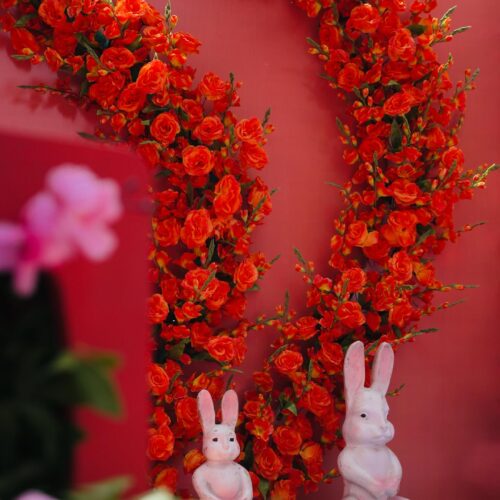 shubhavsareventsindia-20250917-0008